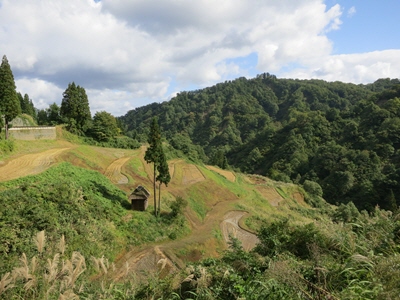 留守原の棚田