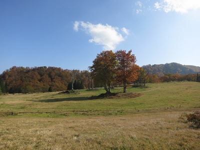 大厳寺高原2013秋2