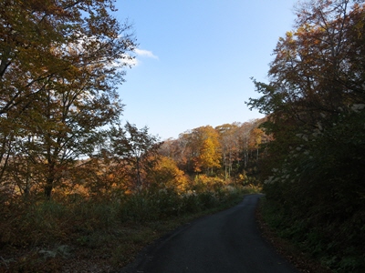 大厳寺高原2013秋5