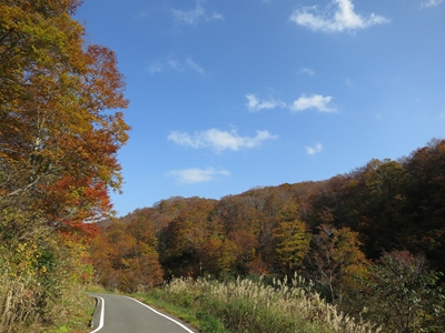 大厳寺高原2013秋7