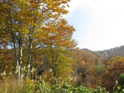 大厳寺高原2013秋8