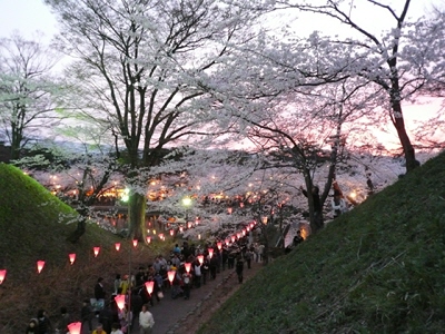 観桜会1