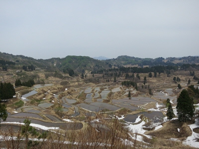 星峠の棚田2