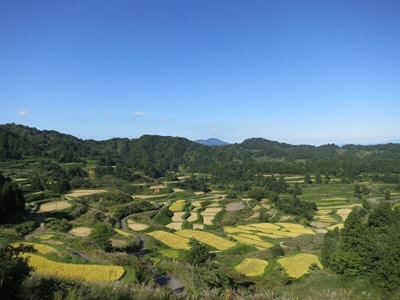 星峠の棚田11