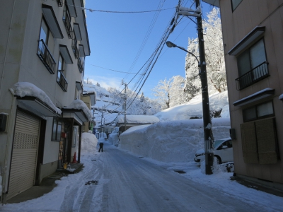 松之山温泉街さか新前