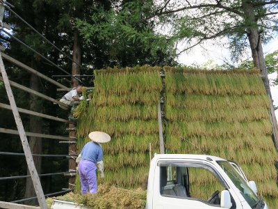 はさかけ3