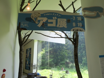 キョロロ2016夏企画展6