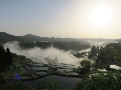 星峠の棚田10