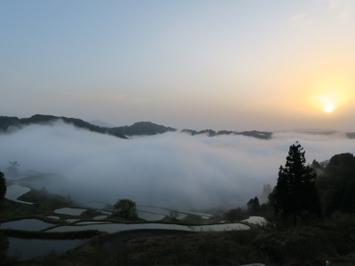 星峠の棚田3