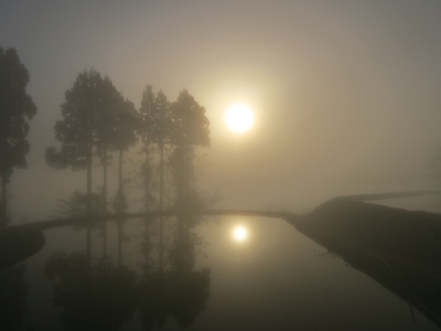 星峠の棚田5