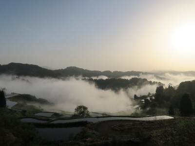 星峠の棚田7