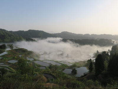 星峠の棚田8