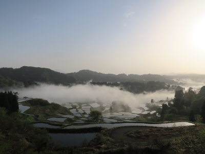 星峠の棚田9