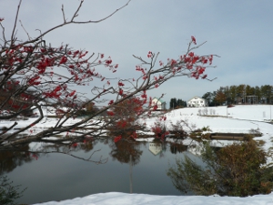 大厳寺高原秋雪