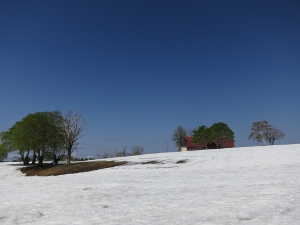 大厳寺高原春雪原