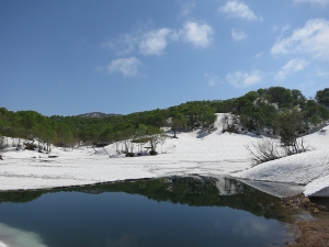 大厳寺高原春池