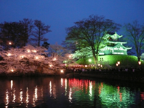 高田夜桜