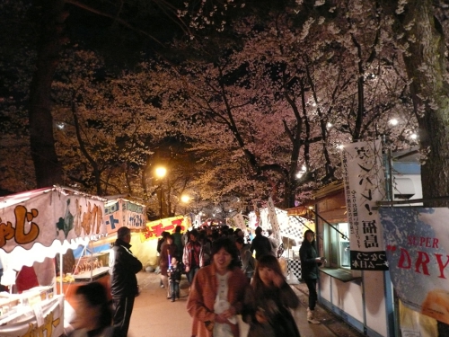 高田夜桜