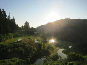 留守原の棚田朝日